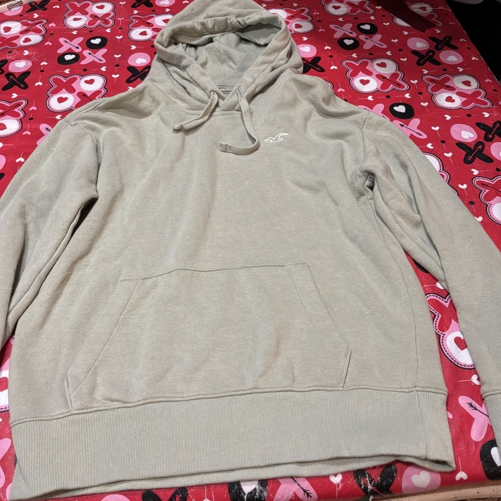 Holister Must‎ Have Collection Logo Embroidered Hoodie Small 0121-14